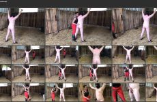 Punishment at the Horsestable