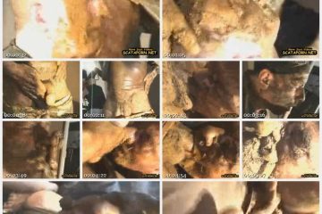 Berlin amateurs gay scat pig party - Fboom - Amateurs