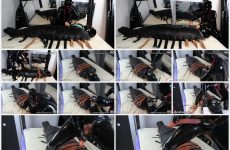 Hinako House of Bondage TEASE DENIAL Inflatable Leather Rest Sack Tease and Denial