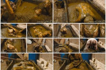 19 August 2022- frankys time in the manure basin - lyndra lynn cleaning ends in a mess - Amateurs