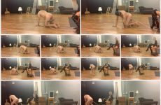 Lady Dark Angel UK Slave Pulling Me Along In The Chair With His Balls