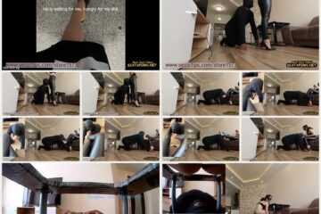 21 December 2022- Mistress Anna - Summer Toilet - NO food only shit - Amateurs