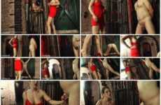 Ball Busting Chicks Ballbusting A Jailed Man