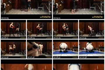 21 January 2023- Goddess Zaleya - Boxing _ Cum Tribute Shit Cock Smearing - Amateurs