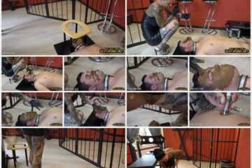 22 January 2023- Human Toilet Slave – You Will Eat My Shit Forever - Amateurs