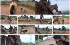 Gerald Hrfan The Bullwhipping Goddess In Furs By Ama K