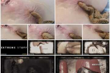 1 March 2023- Close up poo exclusively for scatbook - Amateurs