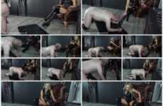 Mistress Courtney mistress face spitting Clean My Boots and Ill Reward you With SPIT