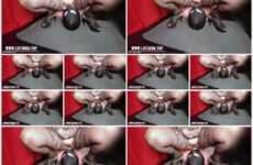 Mistress Lusinda Peeing in mouth and wet pussy licking