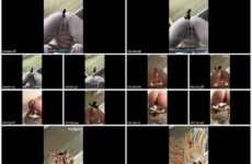 Foxness – Glass Coffee Table Beet Poo MP4 / FullHD 1080p