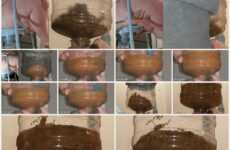 SSBBW Queen Siya – Chugging LITERS of my poop-flavored pee MP4 / HD 720p