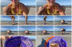 PulsiferPaprocki – Beach Bucket Poopd