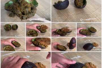 Ella Dearest - Scatbook AVOCADO REFILL