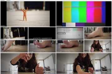 Minia Studios - Fansly GiantessMuse