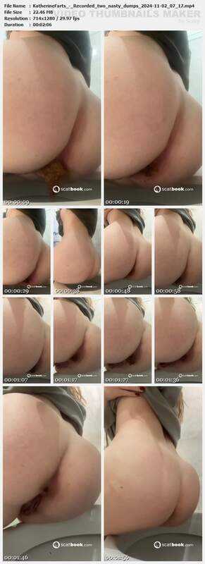KatherineFarts - Recorded two nasty dumps 2024-11-02 07 17