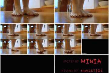 Minia Studios - That Familiar Pop
