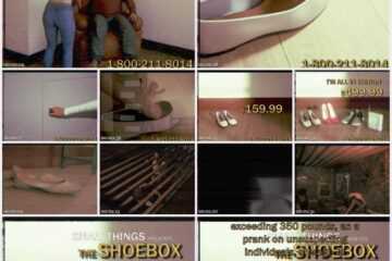 Minia Studios - The Shoebox 2m