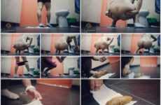 Valentynexx - Poo in Public Bathroom