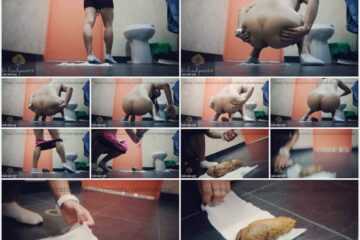 Valentynexx - Poo in Public Bathroom