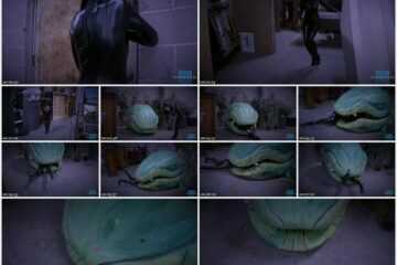 Nyxons Fetish Files - VORE Nyxon Vs The Top Secret Monster
