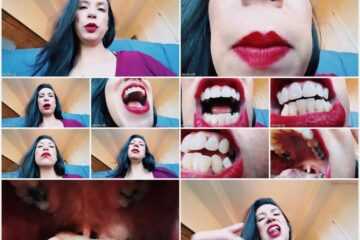 Drea xoxo - The Better Woman