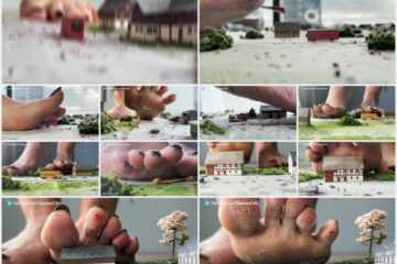 Giantess FairTrade - The City Of FairTrade