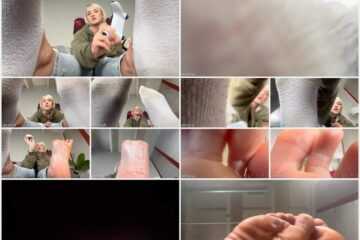 Nikemd - Sunny The Servant