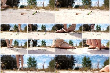 The Desert 1