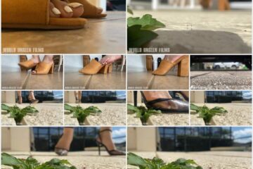 WorldUnseenFilms - Kate CRF
