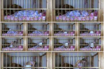 Diaper Fetish - Pookie Unassisted Messing in Crib