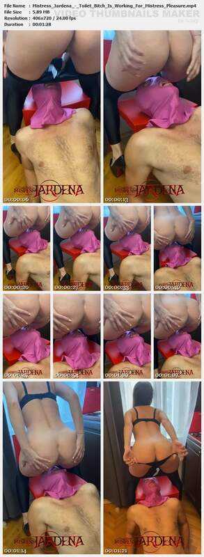 Mistress Jardena - Toilet Bitch Is Working For Mistress Pleasure