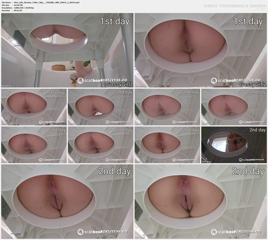 Miss Lith Domina Toilet Clips - PISSING AND FARTS 2 DAYS