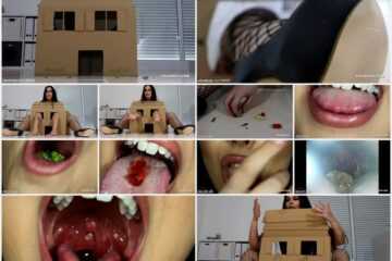 Sweet Maria - Maria In Wonderland Sweet Maria