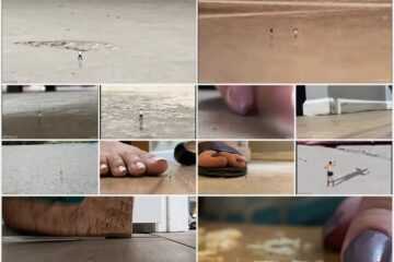 WorldUnseenFilms - Zoom Outs