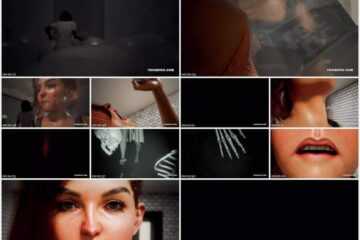 Minia Studios - The Missing Mint