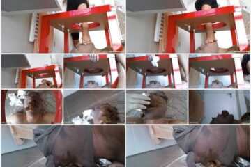 Mistress Vanity - Human Toilet Under My Ass