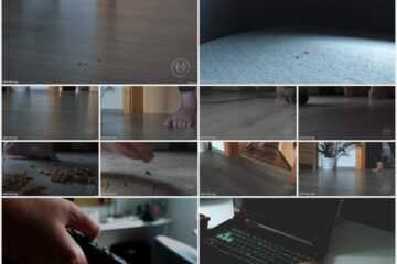 Micro Me GTS - The Final Job FX