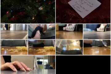 WorldUnseenFilms - The Christmas Gift
