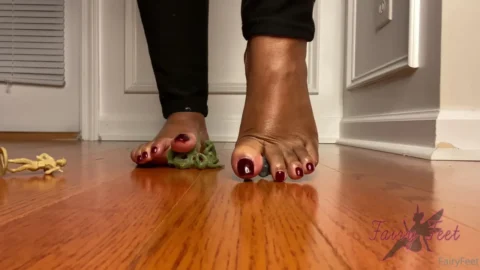 Fairy Feet – Giantess Soldier Crush