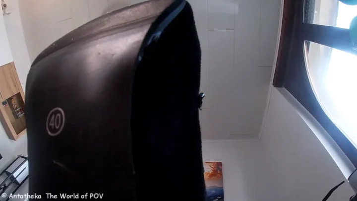 Anantheka The World of POV – Liska Wish Master