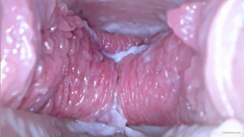 Adulting X – Giantess Inside Pussy Cervix 4k