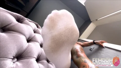 FEMDOMSQUAD Video Store – I ll Crush Under My Stinky Gym Socks!