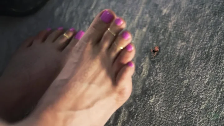 GiantessAve House Arrest