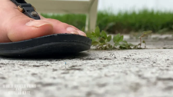 WorldUnseenFilms – Sucked Up