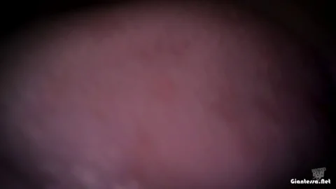 Rated Raw – Janes Side Job small Made with Clipchamp