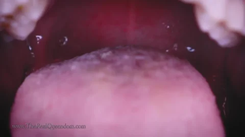 The Queendom – Into the Genies Belly