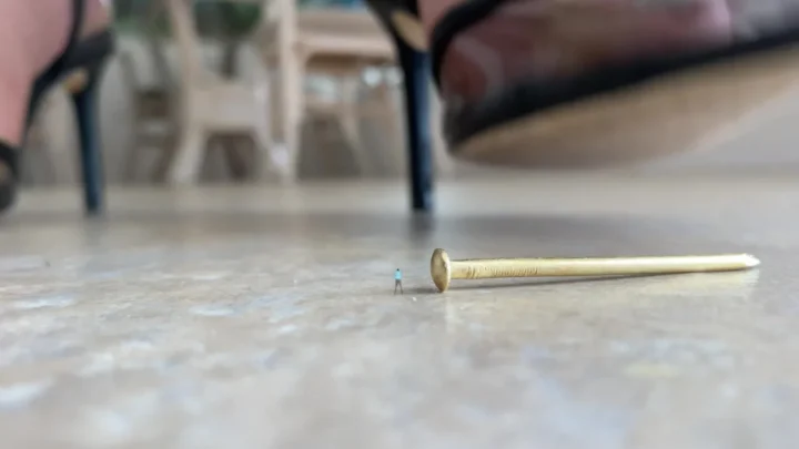 Nail Biter! You Have Shrunk Far