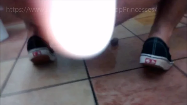 PoopPrincesses – Fuck WendyвЂ™s