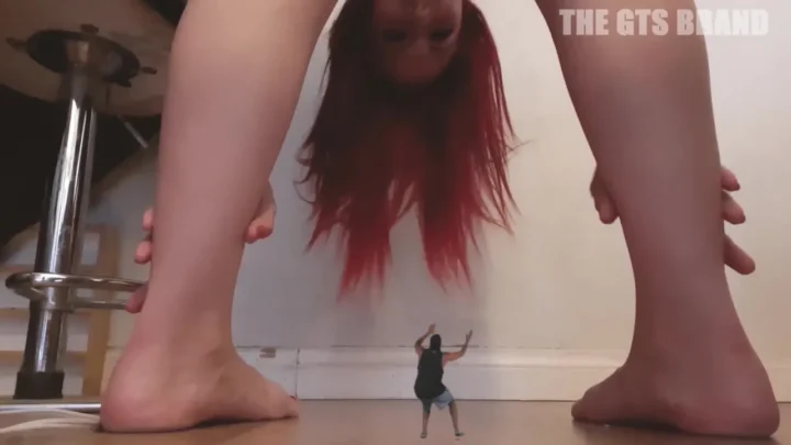Giantess Vixen’s Tiny Pet