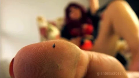 Giantess Loryelle – Unaware Ant People Massacre SFX